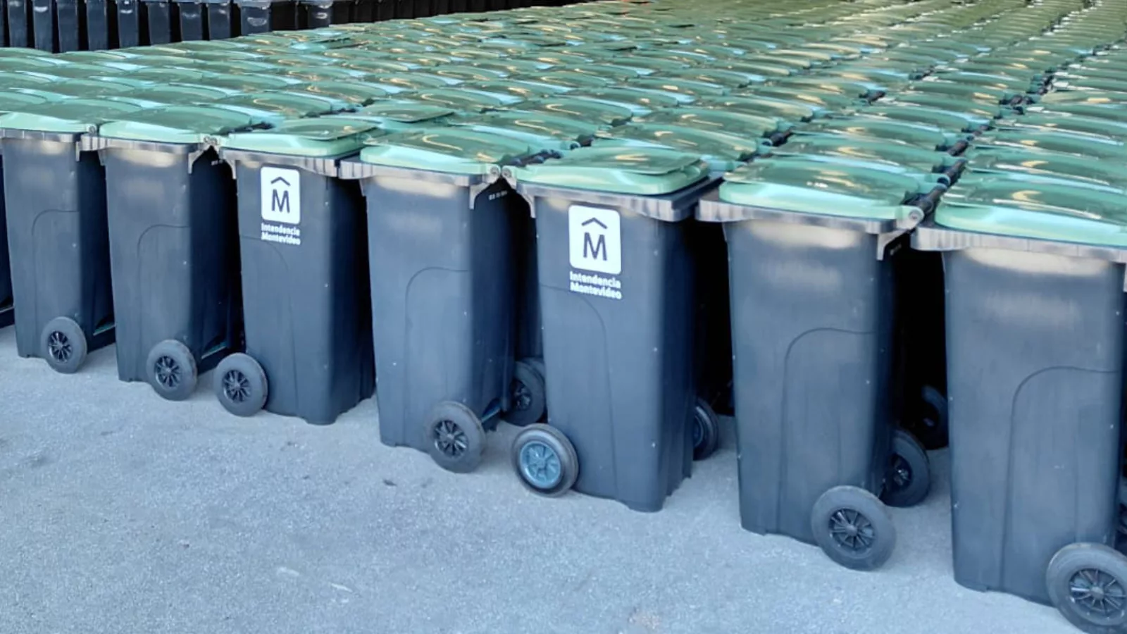 El modelo intradomiciliario escala en Montevideo y abre un nuevo capítulo en la gestión de residuos